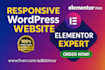 design, redesign, customize and clone wordpress website using elementor pro