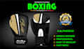do professional boxing gloves and boxing equipment design