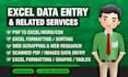 excel data entry convert PDF to excel