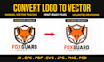 professionally vectorize, redraw, and recreate your logo