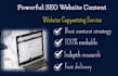 be your SEO website content writer and copywriting