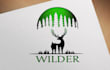 do modern minimalist logo design with fast delivery