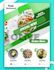 do any design in canva
