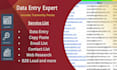 do accurate data entry, copy paste, email list, and contact list building