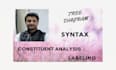 inscribe syntax, trees, labeling, constituents, x bar theory