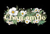 draw florist lettering for t shirt, logo fashion instagram