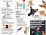 write articles on pets like dogs, cats, and animal facts