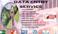 do data entry data mining data collection copy paste web research