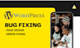 fix wordpress,  issues and customization