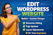 edit wordpress website and update wordpress site