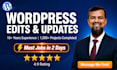 edit wordpress website, wordpress customization, update website fast