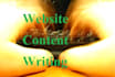 write an Unique Website Content