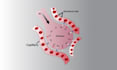 do medical diagram and scientific image illustration