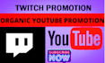 do youtube gaming promotion, channel promotion