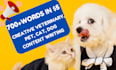 write pet articles, dog training and SEO veterinary blog posts  within 24 hours