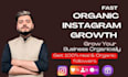 fast organic instagram growth