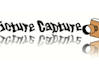 make 10 captures from 1 video