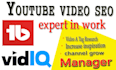do you tube video seo vidiq expert