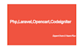 fix and develop php, laravel, mysql, web apps and websites