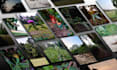 provide high quality nature photographs