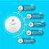create a 2d explainer video animation in after effects