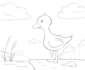 make pages for coloring books, cute animals, fairies,
