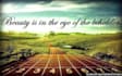 create long term running or workout schedules