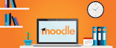 give consultancy and technically support lms moodle