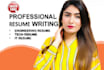 write perfect engineering resume tech resume or IT resume for you