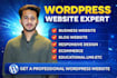 design and redesign wordpress websites, and fix wordpress bugs and issues
