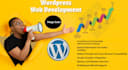 develop wordpress website and ecommerce store