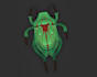 make your 3d models from a scratch