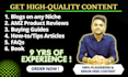 be your website content writing expert