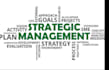 handle strategic management reports and case studies analysis