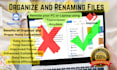 do organize files on your computer via team viewer