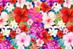 design seamless pattern fabric prints for textile design
