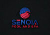 make a unique and fantastic wonderful pool spa logo