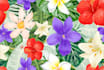 create seamless  pattern of fabric textile floral prints