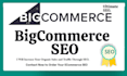 do bigcommerce SEO for ecommerce store and business websites