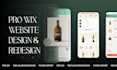 professional website design or redesign in wix
