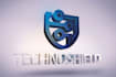 design professional logo with multiple revisions