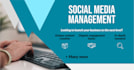 be your social media manager