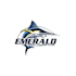 do an eye catching fishing logo for you