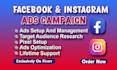 setup and manage facebook and instagram ads campaign