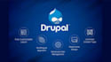 fix drupal bugs, update modules, and customize your website