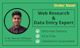 be your VA for internet research, data mining, excel data entry and list emails