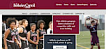 develop a professional school website