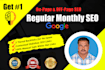 provide monthly SEO service using top da tiered backlinks