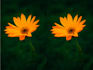 resizing photo quality weak photo to 4k photo resizing