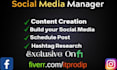 be your social media manager and social media marketer